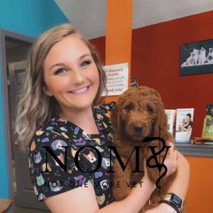 Meet your Posher, Harlee